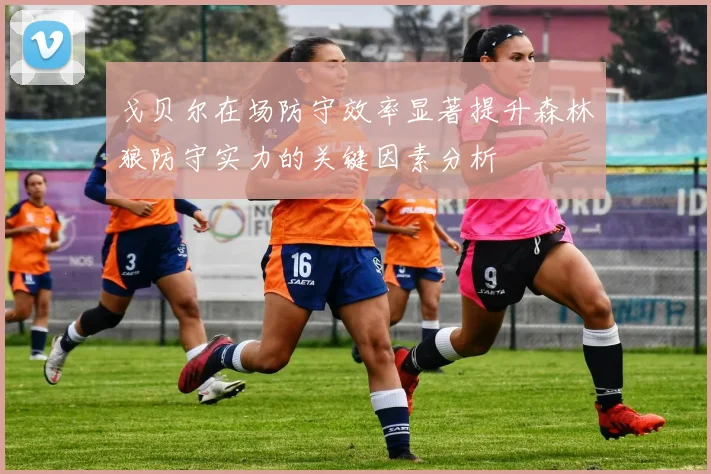 戈贝尔在场防守效率显著提升森林狼防守实力的关键因素分析