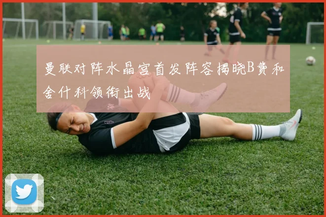 曼联对阵水晶宫首发阵容揭晓B费和舍什科领衔出战